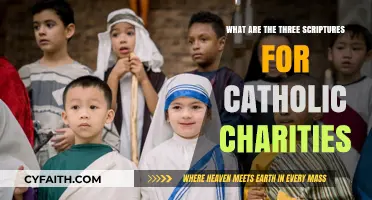 Catholic Charities' Core Scriptures: Three Guiding Principles for Service