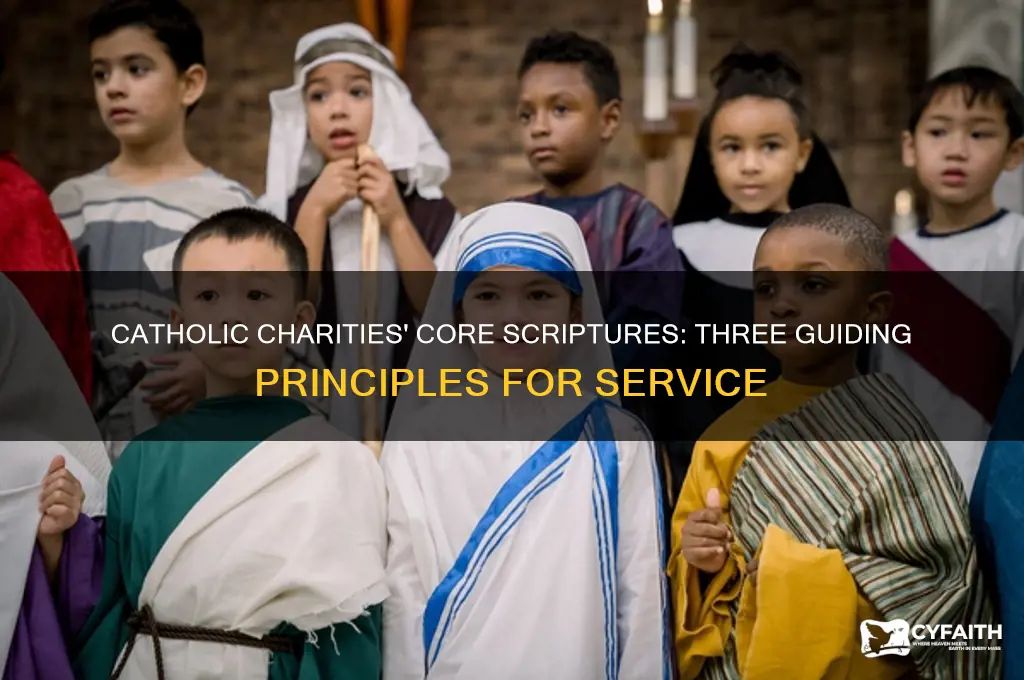 what are the three scriptures for catholic charities
