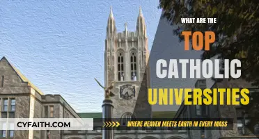 Discovering the Best Catholic Universities for Academic Excellence and Faith