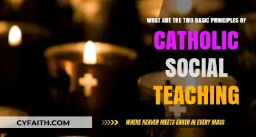 Catholic Social Teaching: Core Principles for Justice and Human Dignity