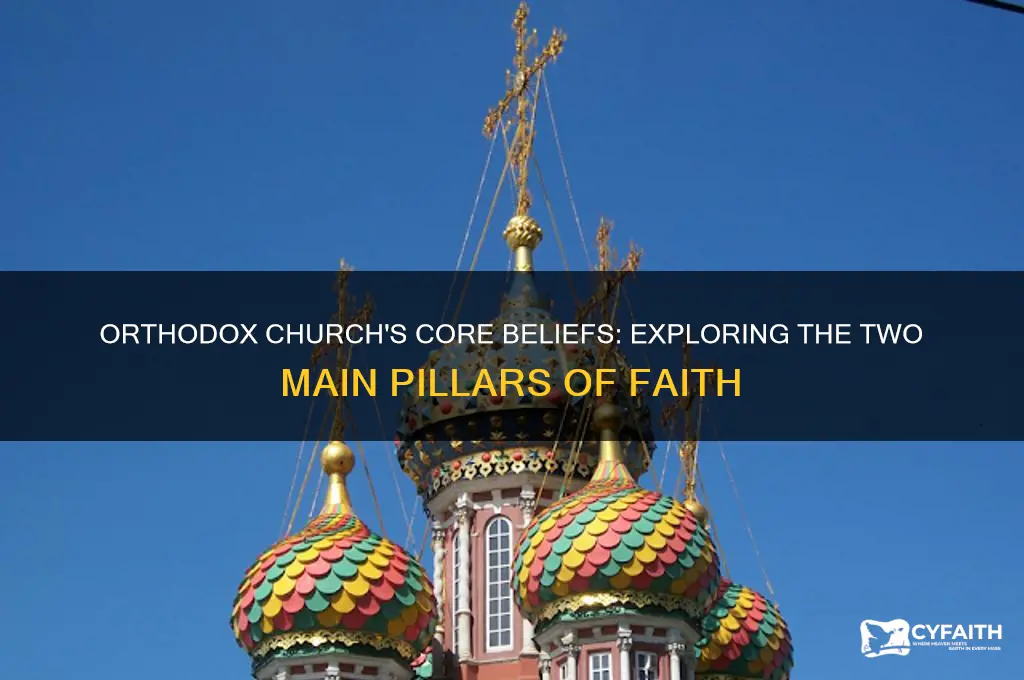 what are the two main according to the orthodox church
