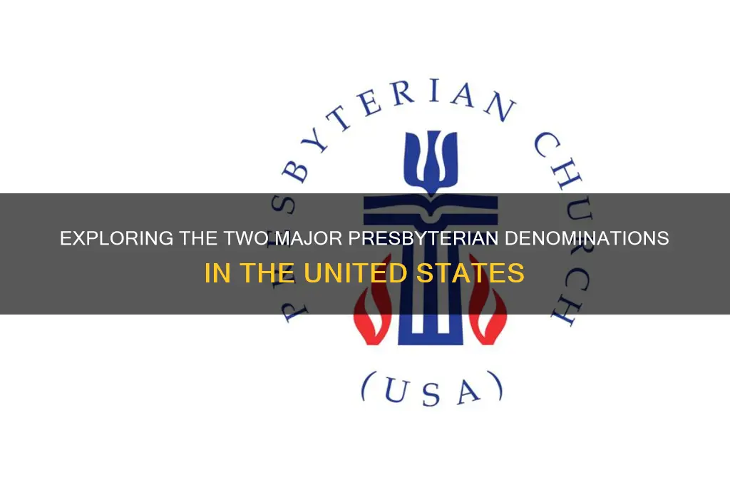 what are the two presbyterian churches in usa