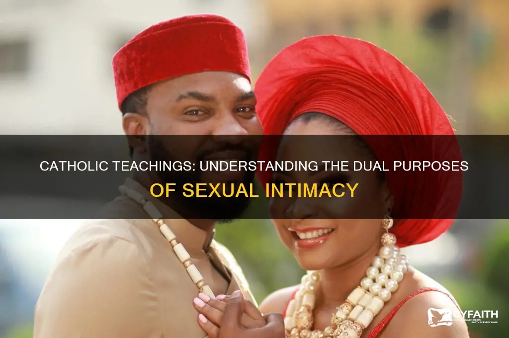 what are the two purposes of sex catholic