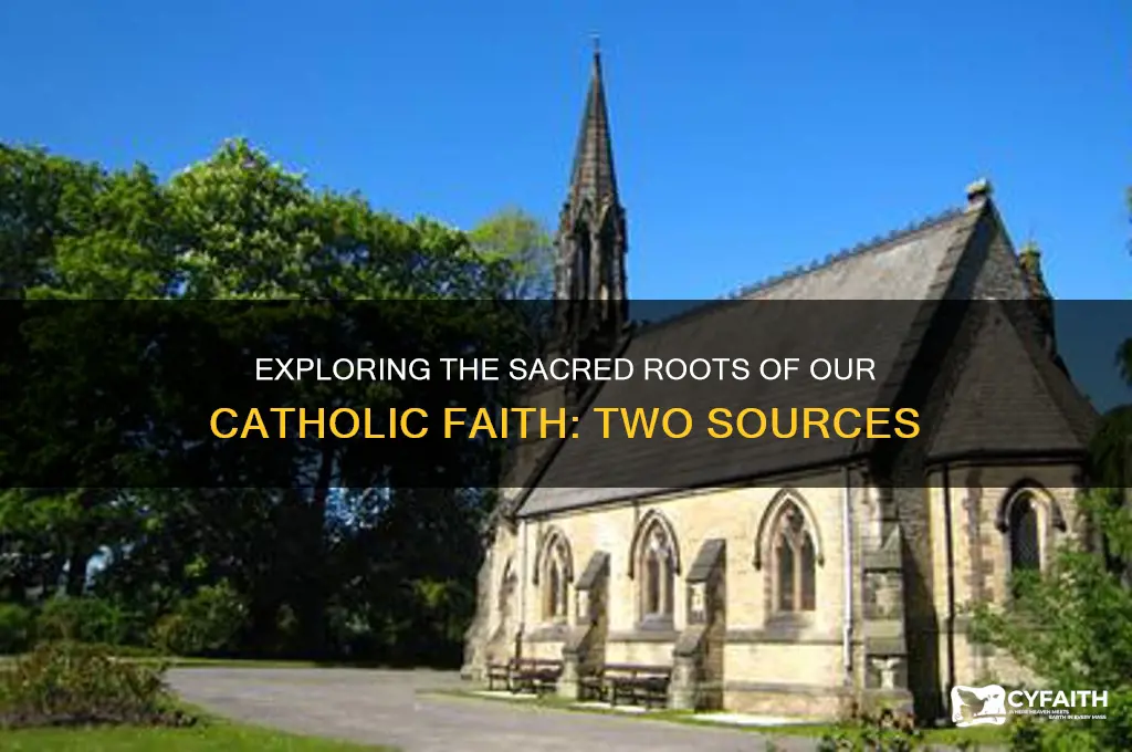 what are the two sources of our catholic religion