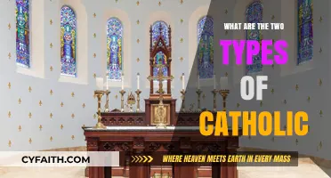 Understanding the Two Distinct Types of Catholics and Their Beliefs
