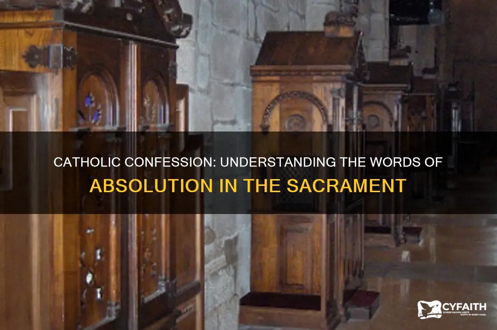 what are the words of absolution catholic confession