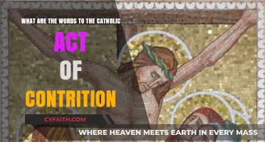 Understanding the Catholic Act of Contrition: Words and Meaning