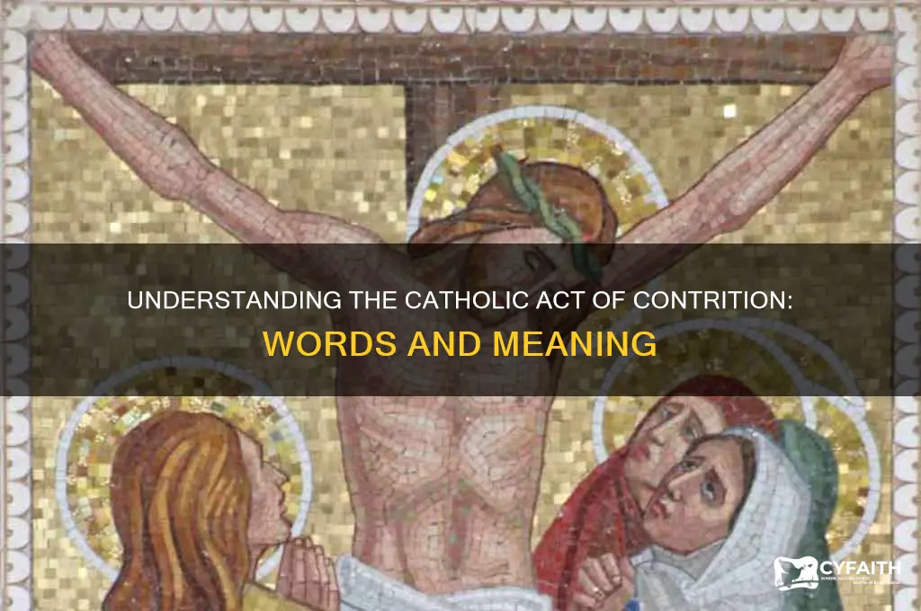 what are the words to the catholic act of contrition