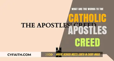 Understanding the Words of the Catholic Apostles' Creed: A Guide