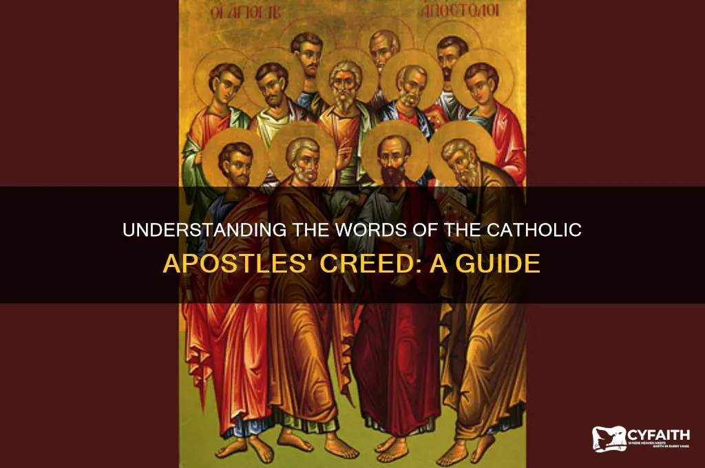 what are the words to the catholic apostles creed