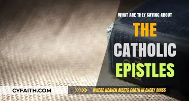 Exploring Insights and Interpretations of the Catholic Epistles Today