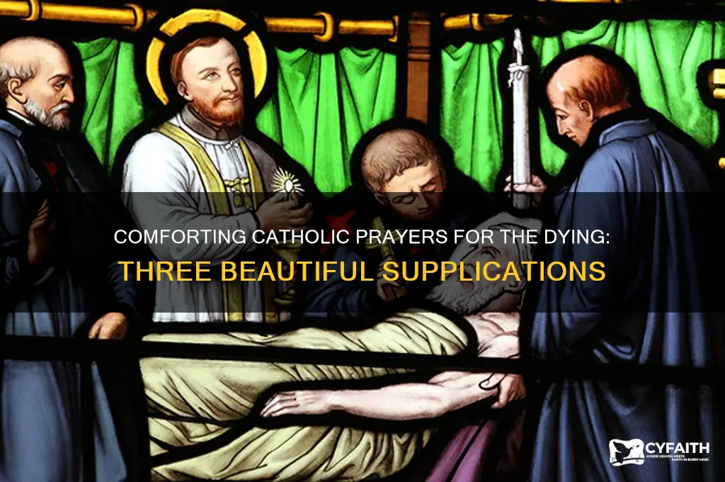 what are three beautiful prayers for the dying catholic
