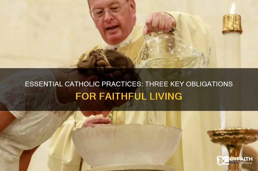 what are three things catholics are required to do