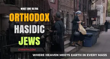 Understanding Ultra-Orthodox Hasidic Jews: Traditions, Lifestyle, and Beliefs