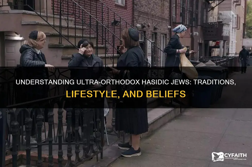 what are ultra orthodox hasidic jews