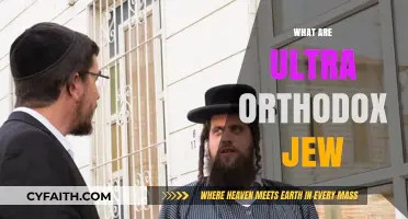 Understanding Ultra-Orthodox Judaism: Beliefs, Practices, and Community Life
