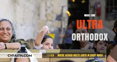 Understanding Ultra-Orthodox Judaism: Beliefs, Practices, and Community Life