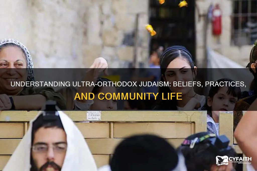 what are ultra orthodox