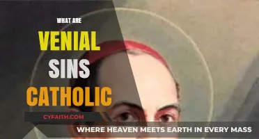 Understanding Venial Sins: A Catholic Perspective on Minor Offenses