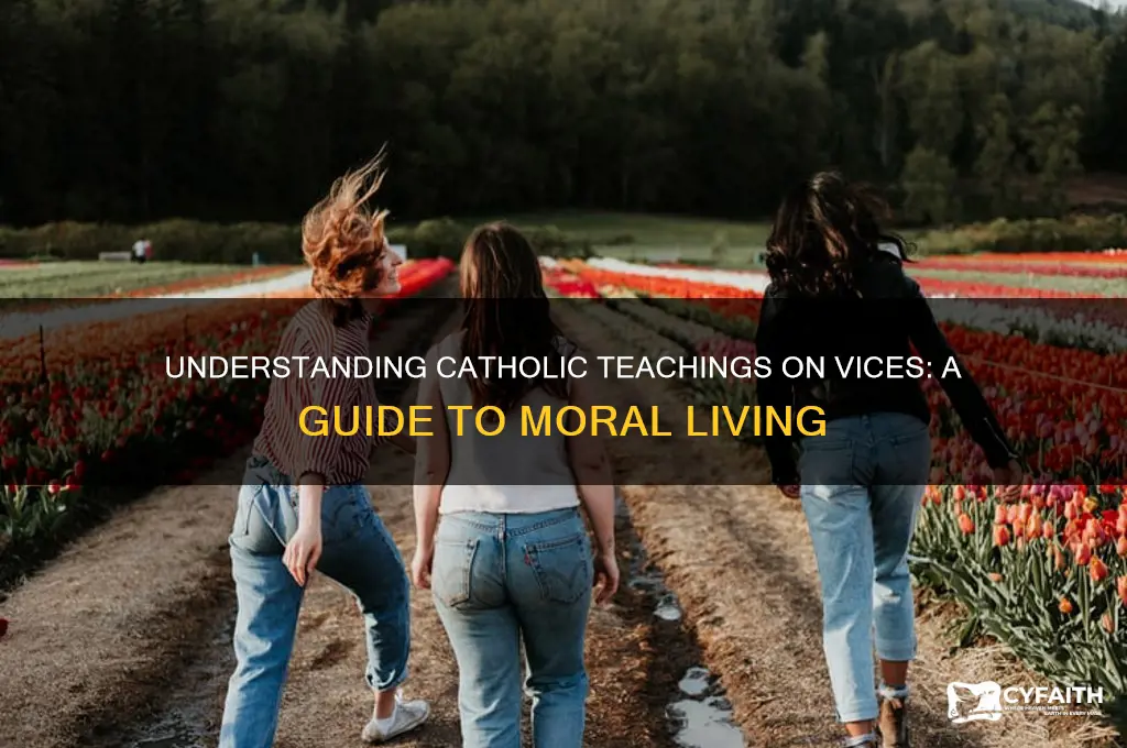 what are vices catholic