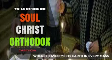 Nourishing Your Orthodox Soul: What Are You Feeding It?