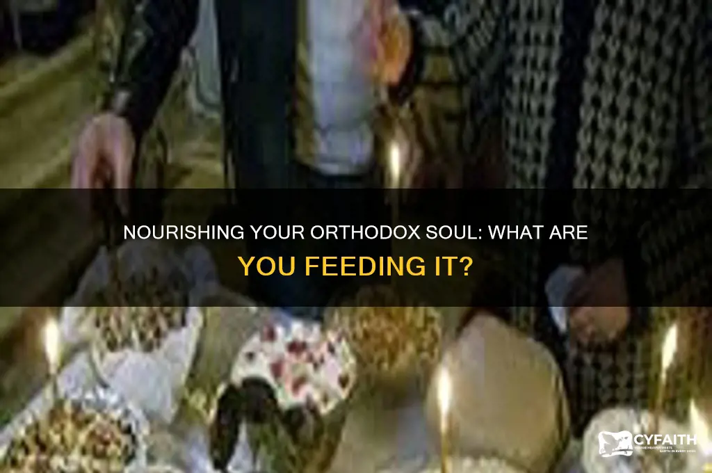 what are you feeding your soul christ orthodox