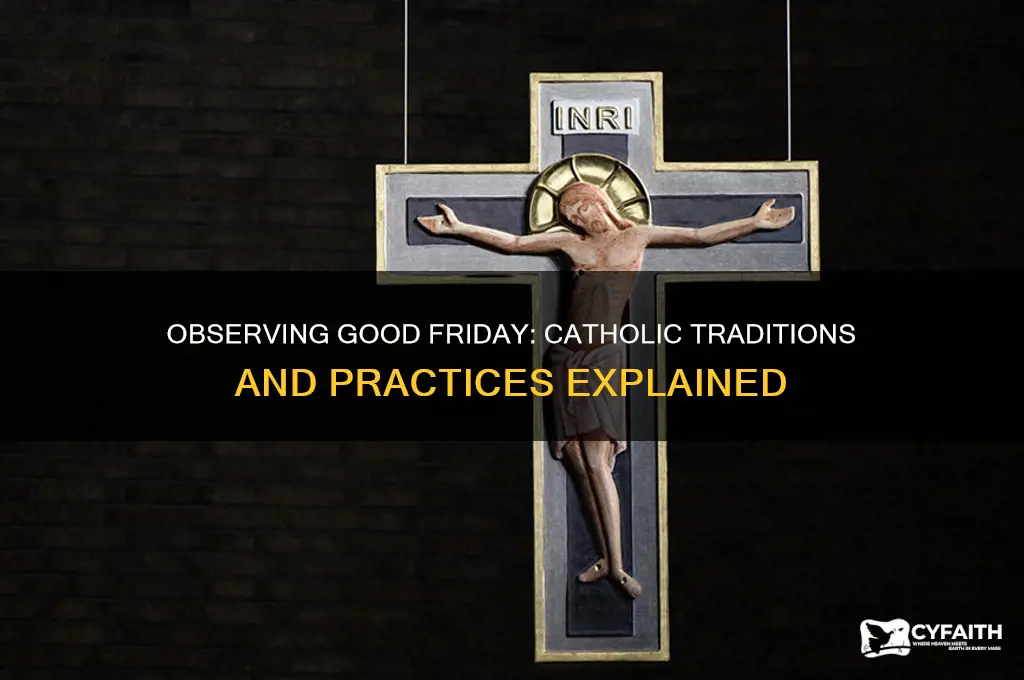 what are you supposed to do on good friday catholic