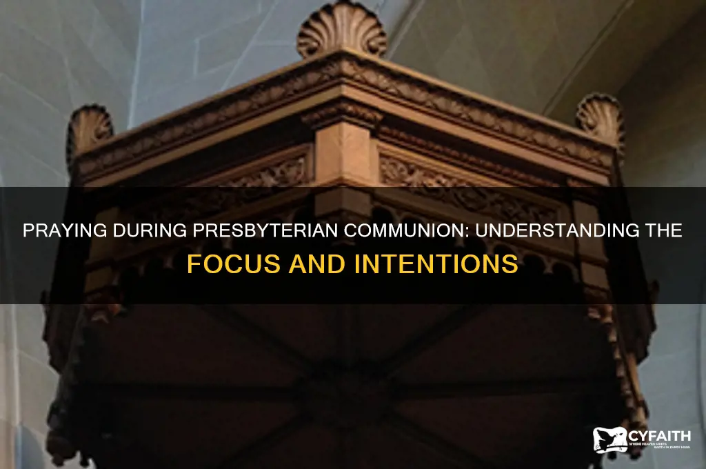 what are you supposed to pray about during presbyterian communion