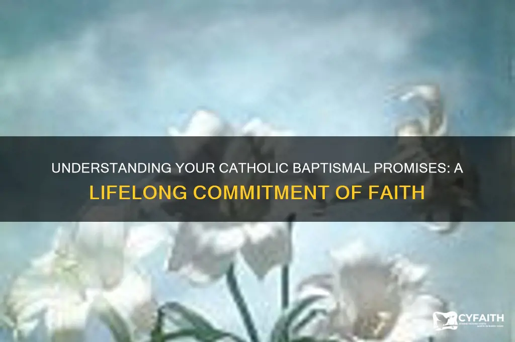 what are your baptismal promises as a catholic