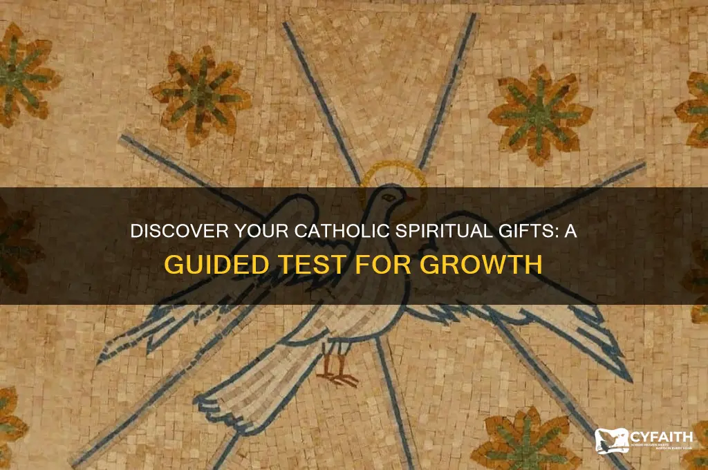 what are your catholic spiritual gifts test