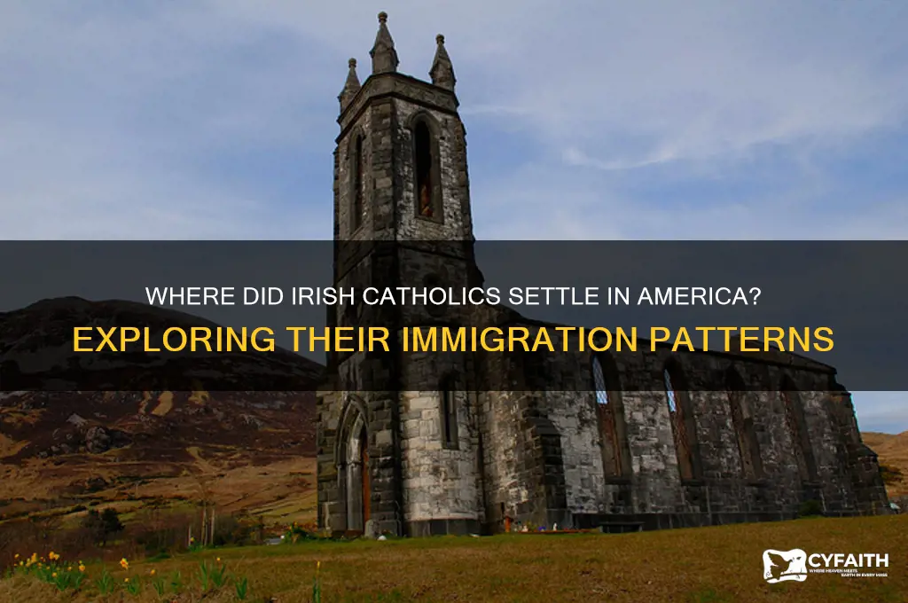 what area did the catholic irish immgrait in the us