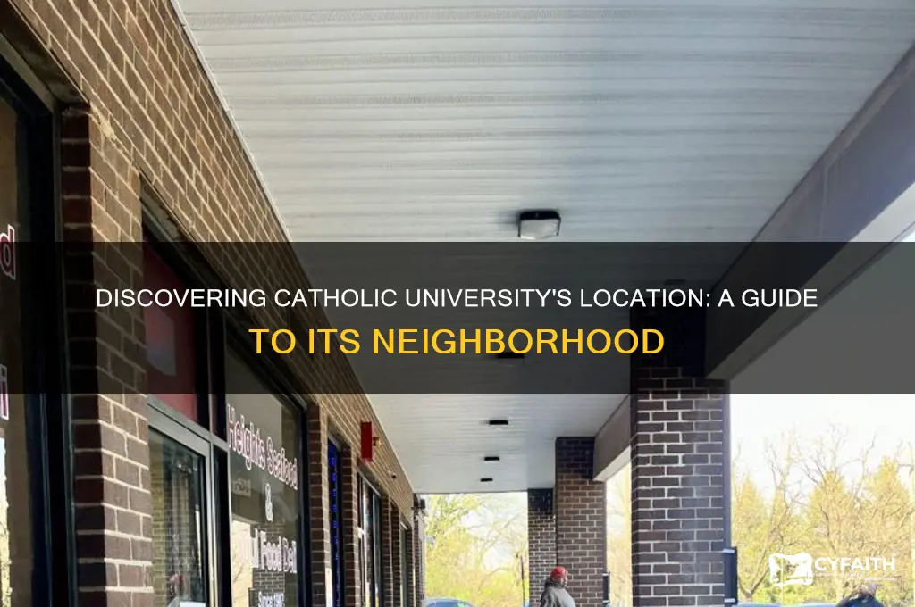 what area is catholic university in