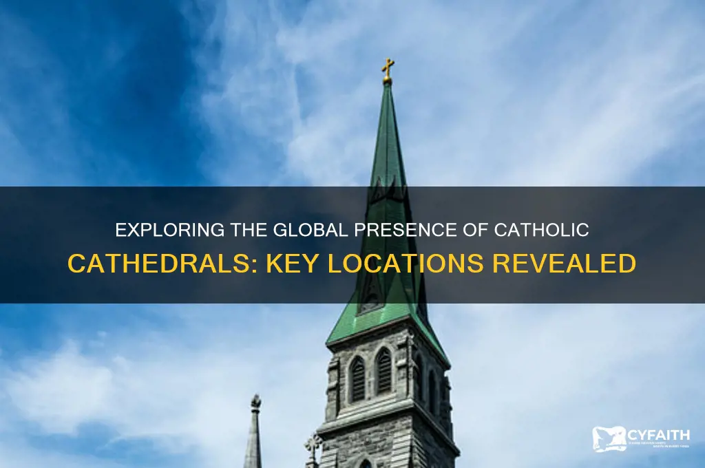 what areas are catholic cathedrals located
