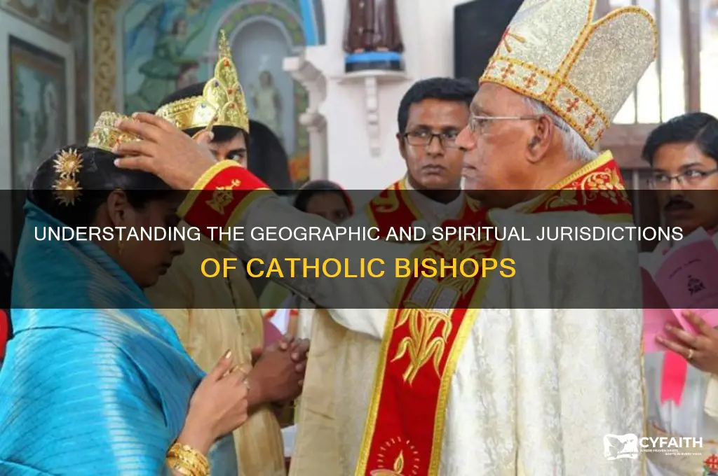 what areas do catholic bishops cover