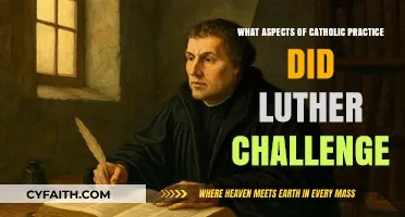 Luther's Reformation: Challenging Catholic Practices on Indulgences, Authority, and Salvation