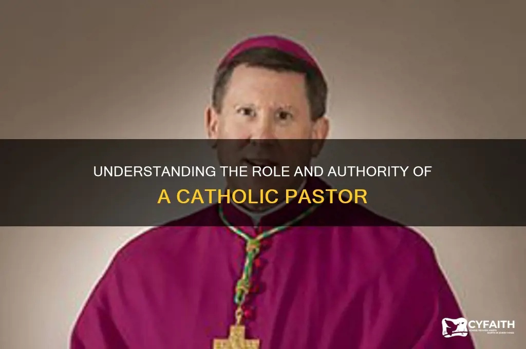 what authority does a catholic pastor have
