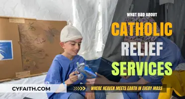 Critiquing Catholic Relief Services: Controversies, Challenges, and Concerns Explored