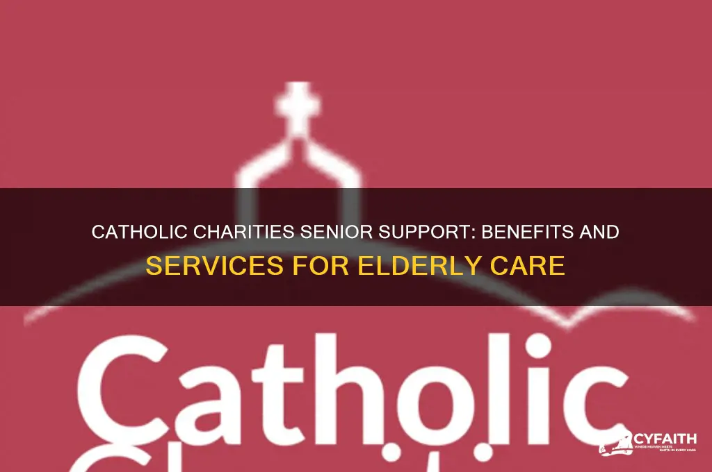 what benifits does catholic charities cover for senior citizens