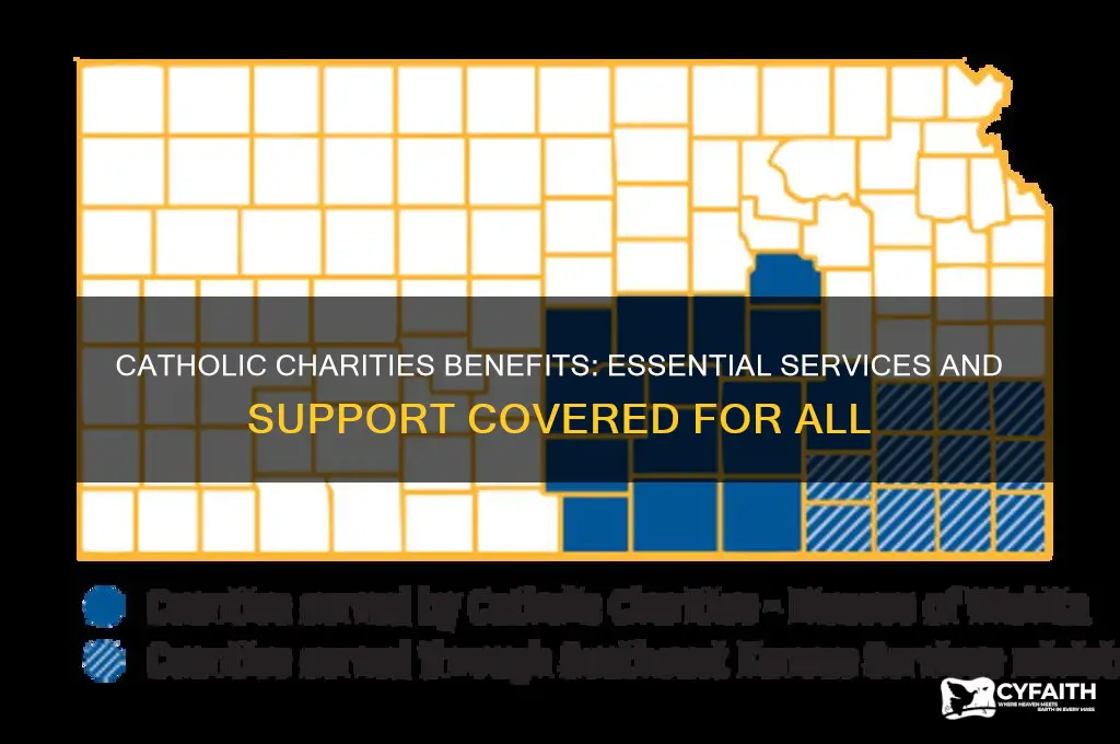 what benifits does catholic charities cover