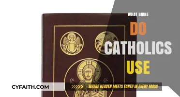 Which Bible Version Do Catholics Use and Why?