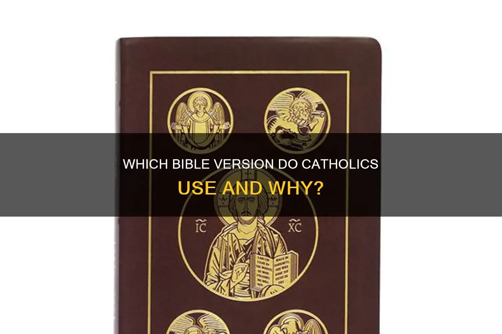 what bibke do catholics use
