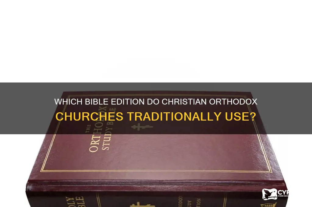 what bible do christian orthodox use