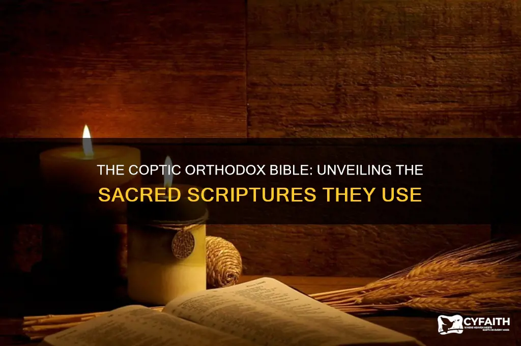 what bible do coptic orthodox use