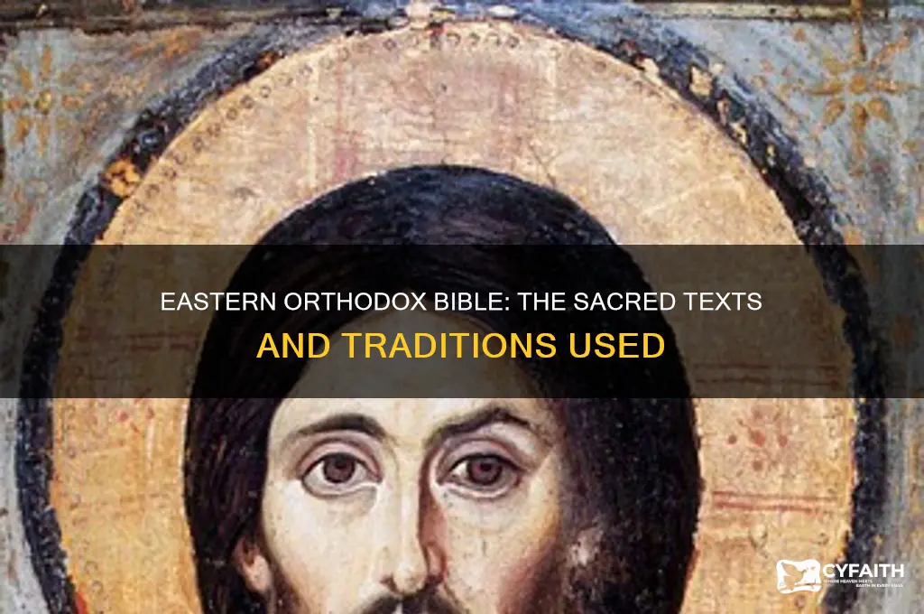 what bible does the eastern orthodox use