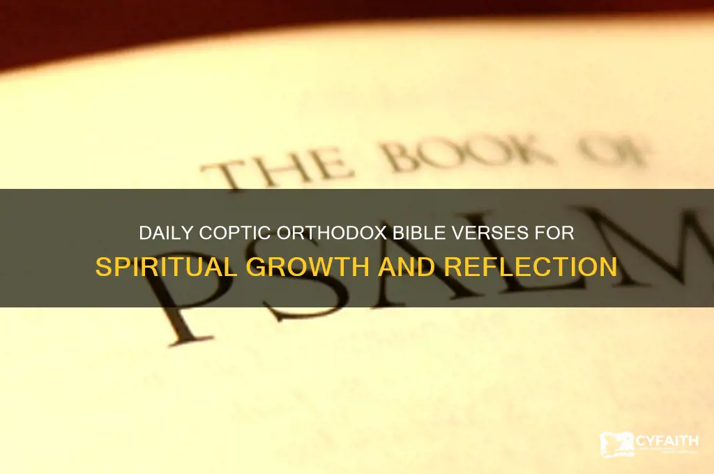 what bible verse to read everyday coptic orthodox