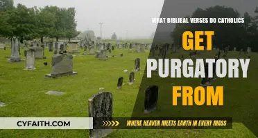 Biblical Foundations of Catholic Purgatory: Key Verses Explained