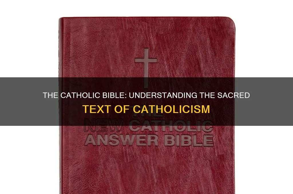 what book do the catholics use for theyre religon