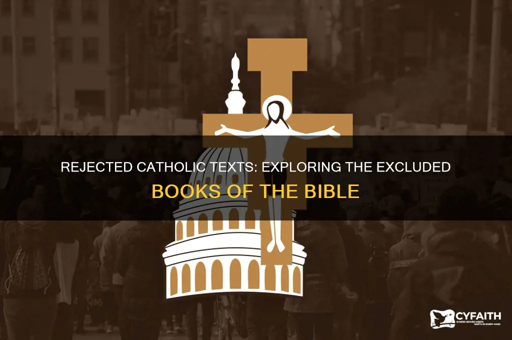 what books did the catholics reject