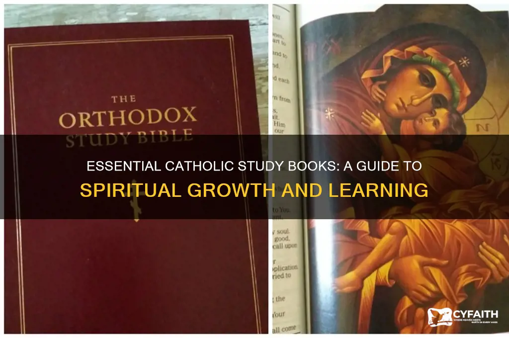 what books to read for catholic study