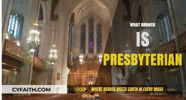 Understanding Presbyterianism: Exploring Its Distinctive Denominational Branch and Beliefs